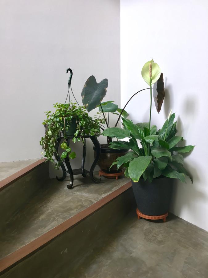 보고타 Casa Lelyte B&B 외부 사진